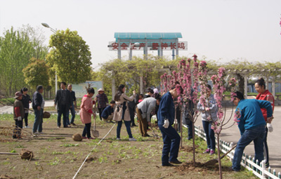 徐州国祯开展植树活动